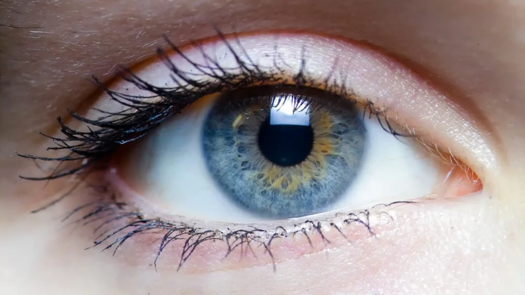 Brainspotting & EMDR Light Therapy